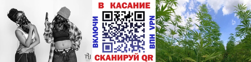 Купить наркотики сайты Солнечногорск Альфа ПВП Псилоцибиновые грибы ГАШИШ Конопля Меф