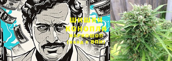 MESCALINE Аркадак