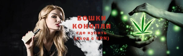 крисы Армянск