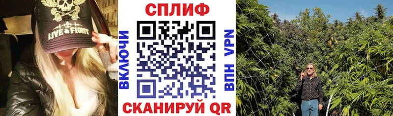 Бошки Шишки VHQ  omg маркетплейс  Солнечногорск 